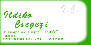 ildiko csegezi business card
